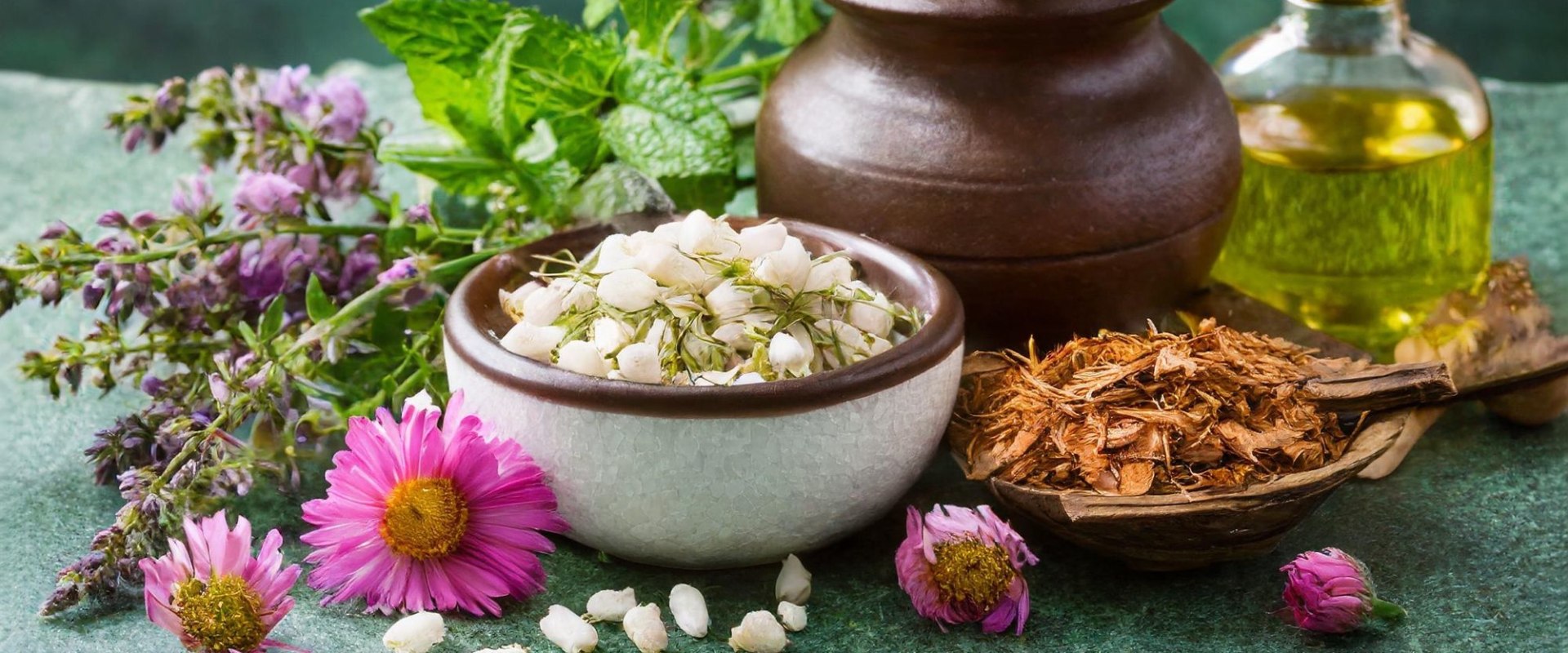 Understanding the Core Principles of Traditional Naturopathy