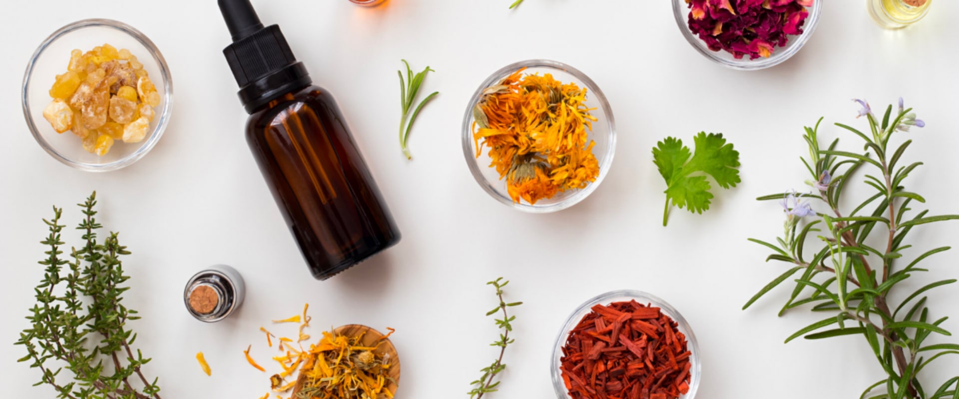 Naturopathic Doctors and Digestive Remedies: A Comprehensive Guide