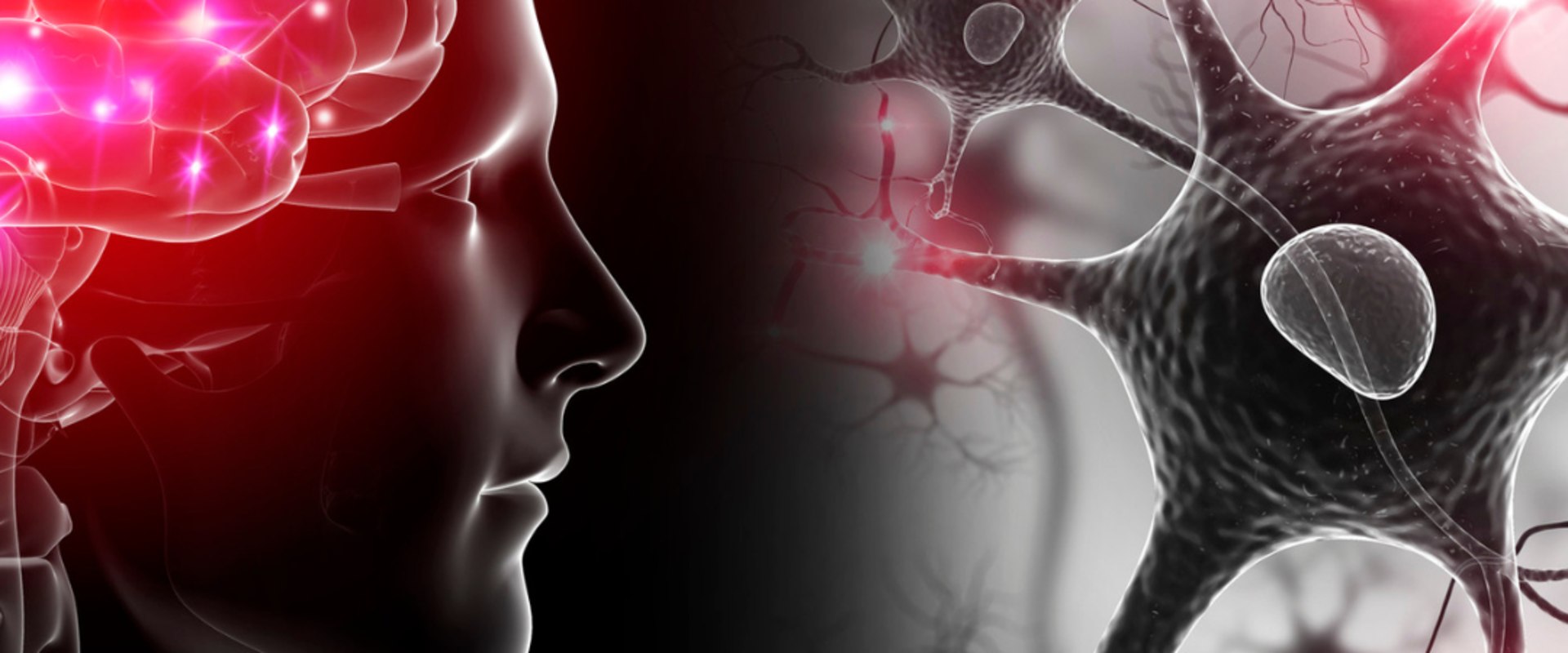 The Power of the Mind-Body Connection: A Comprehensive Look at Naturopathic Medicine and Holistic Health