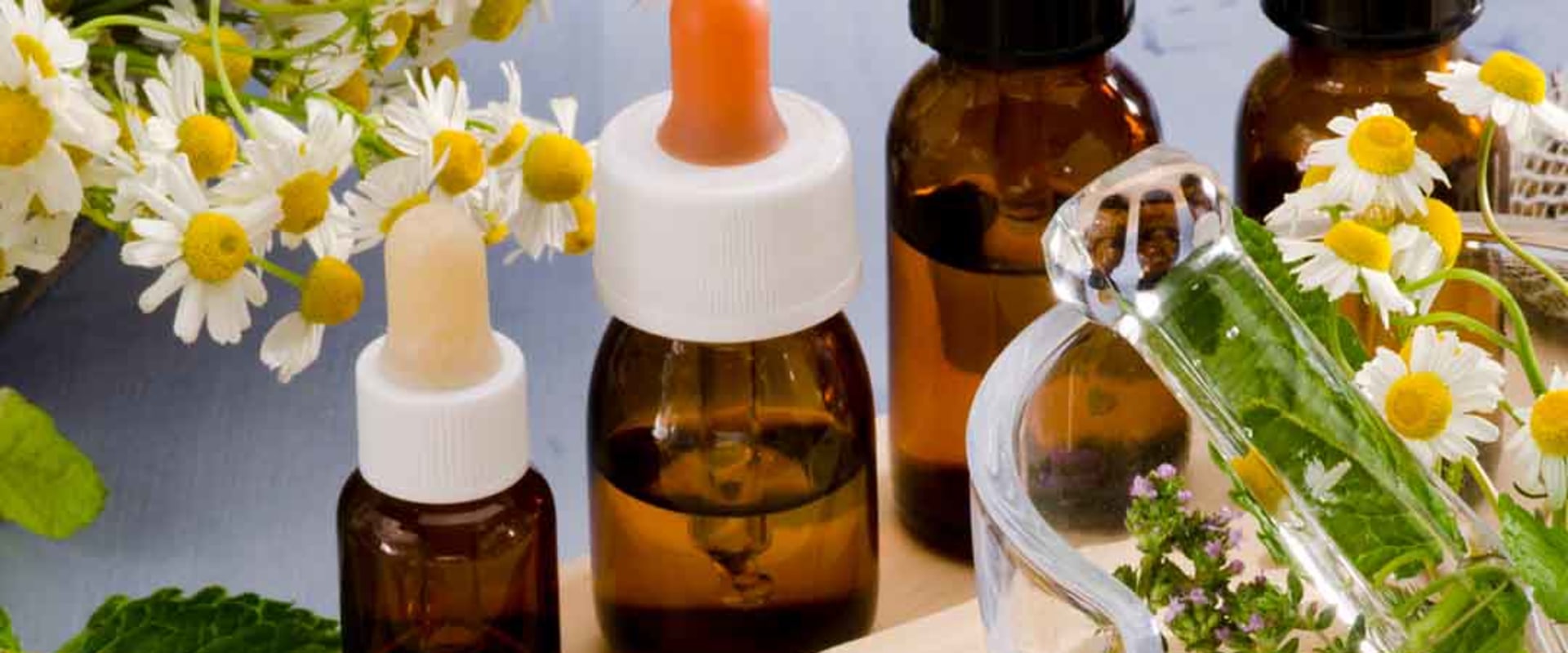 Benefits and Limitations of Holistic Healing: Understanding Naturopathy and Integrative Health Approaches