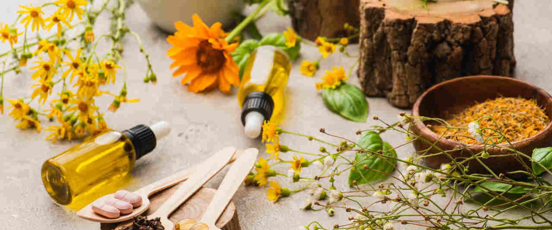 Key Principles of Modern Naturopathy: A Comprehensive Guide