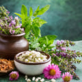 Understanding the Core Principles of Traditional Naturopathy