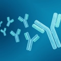 Understanding Integrative Treatments for Autoimmune Diseases