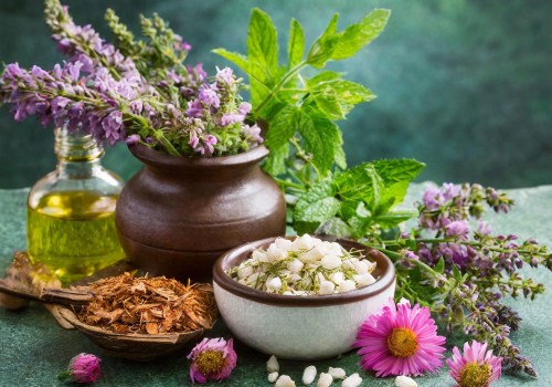 Understanding the Core Principles of Traditional Naturopathy