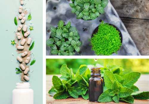The Evolution of Modern Naturopathy: A Comprehensive Overview